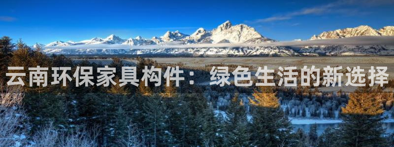 沐鸣2平台线路测速登录