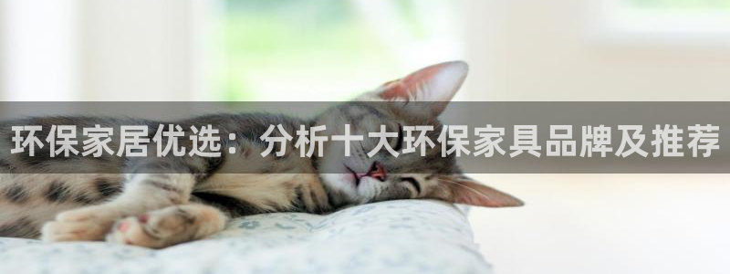 沐鸣2登陆：环保家居优选：分析十大环保家具品牌及推荐