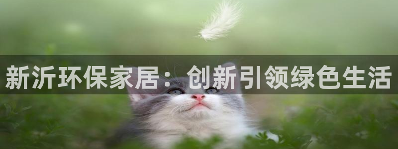 沐鸣2注册线路：新沂环保家居：创新引领绿色生活