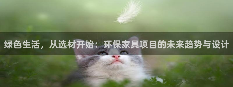 沐鸣2平台分红：绿色生活，从选材开始：环保家具项目的未来趋势